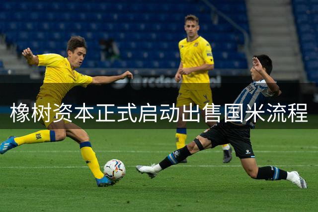 橡树资本正式启动出售国米流程
